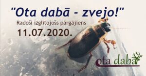 Radoši izglītojošs pārgājiens Kolkā